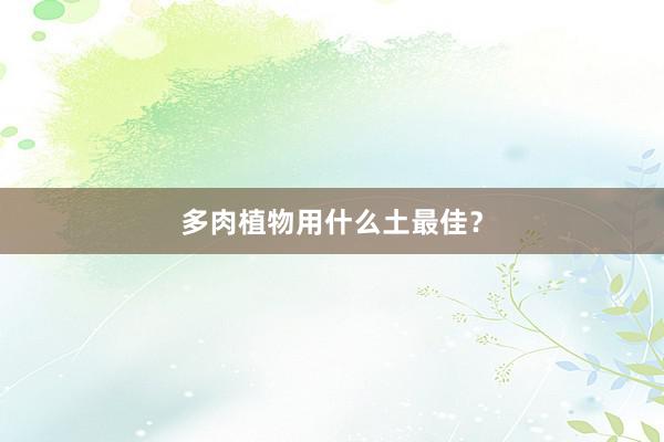 多肉植物用什么土最佳?