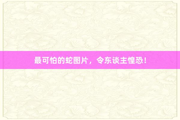 最可怕的蛇图片,令东谈主惶恐!